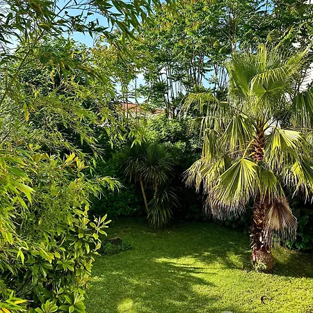 Lumineux Et Moderne - Le Tropical Apartment